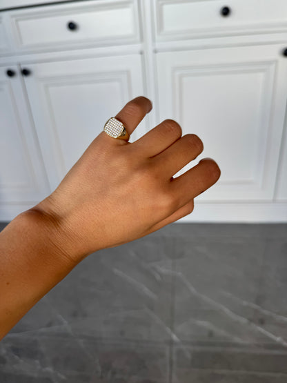 ANELLI ELEGANZA gold & silver